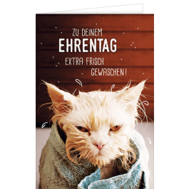 Grußkarte mit einem Katzen Motiv und einem Spruch Jetzt bestellen