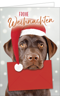 Weihnachtskarte Hund mit einem Kuvert