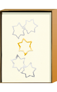 Weihnachtskartenset: Gold- und Silber-Sterne