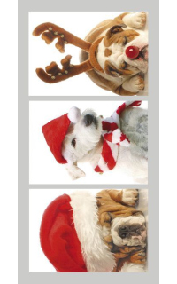 Weihnachtsanhänger 3er-Set lustige Hunde