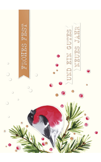 Weihnachtspostkarte Rotkehlchen
