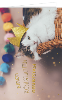 Geburtstagskarte mit einem Katzenmotiv und Text