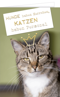 Grußkarte mit einem Katzen Motiv und Text