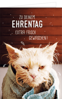 Gru&szlig;karte mit einem Katzen Motiv und einem Spruch