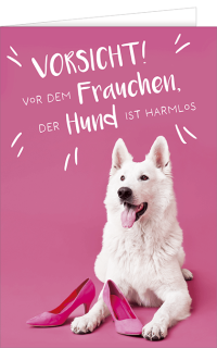 Gru&szlig;karte mit einem Hunde Motiv und einem Lustigen Spruch