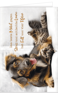 Gru&szlig;karte mit einem Hund und einer Katze