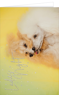 Gru&szlig;karte mit einem Hund und Text