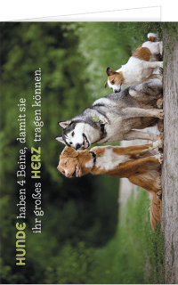 Gru&szlig;karte mit drei Hunden und Text