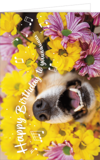 Gru&szlig;karte mit einem Hund und einem Spruch