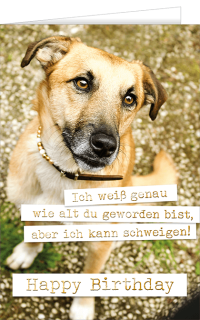 Pfotenglück Gewinnerkarte 24