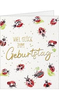 Beilegekärtchen Marienkäfer