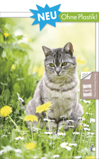 Fotokarte Katze