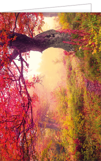 Blankokarte Herbst Ahorn