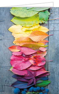 Fotokarte Bunte Herbstblätter