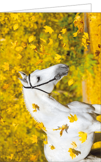 Fotokarte Pferd & Herbstlaub