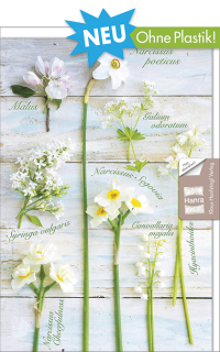 Fotokarte Blumen Lateinische Namen