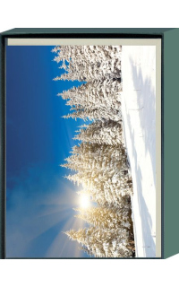 Gru&szlig;kartenbox  Winterwald 6 Karten
