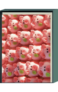 Kartenbox Schweinchen