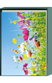 Kartenbox Blumenwiese