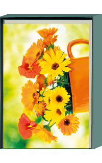 Kartenset: Blankokarte Ringelblumen