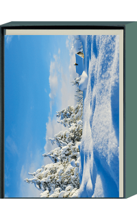 Kartenset Fotokarten Winterlandschaft