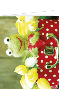 Beilegekärtchen Frosch