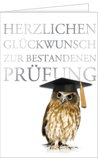 Prüfungskarte Eule