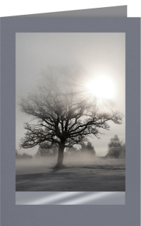 Trauerkarte Baum im Nebel