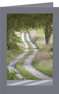 Trauerkarte Waldweg Fotomotiv ohne Text