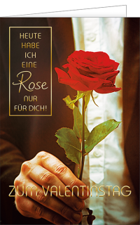 Eine besondere Rose zum Valentinstag