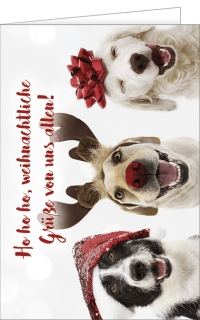 Weihnachtskarte mit Hunde und Text