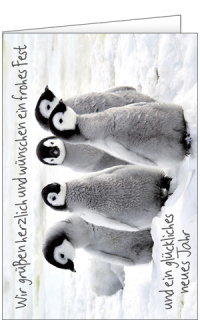 Minikarte mit einem Pinguin Motiv und einem Text
