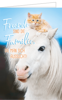 Spruchkarte mit Schimmelpony